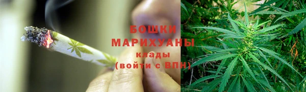сатива Краснотурьинск