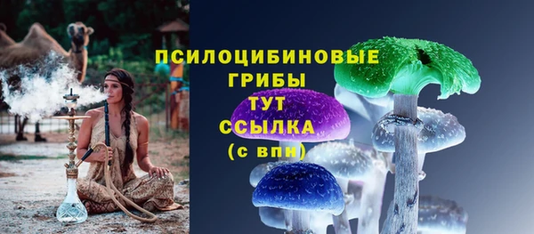 сатива Краснотурьинск