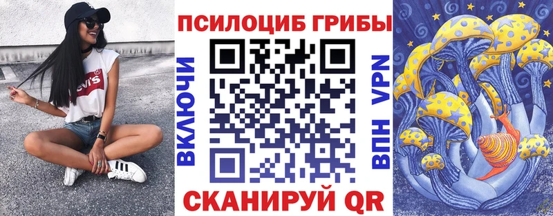 Купить закладки  Балей  Галлюциногенные грибы мухоморы 