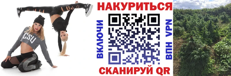 Марихуана план  Купить  Балей 